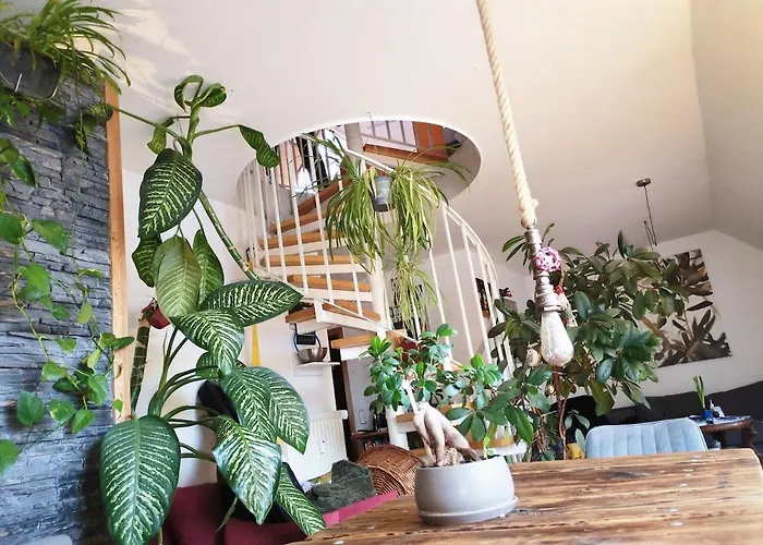 Maisonette With Sauna And Balcony, Fully Equipped Daire *